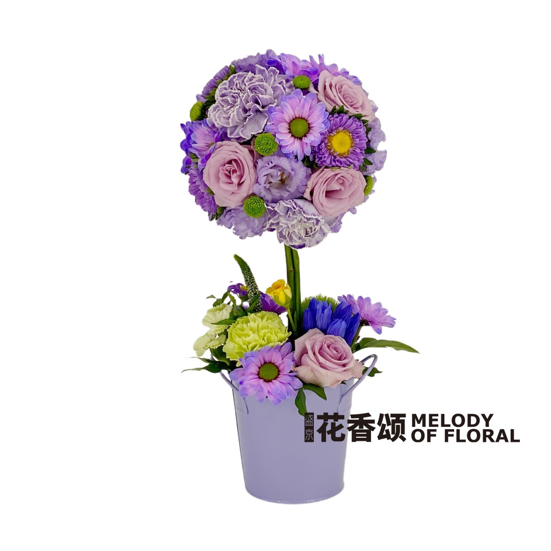 棒棒糖盆栽花桶(S)